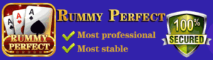Rummy Perfect Apk