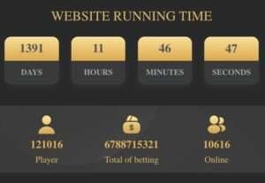website running time